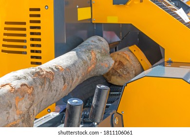 Automated Firewood Logs Processor Machine Equipment