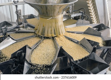 Automated Food Factory Make Fresh Pasta