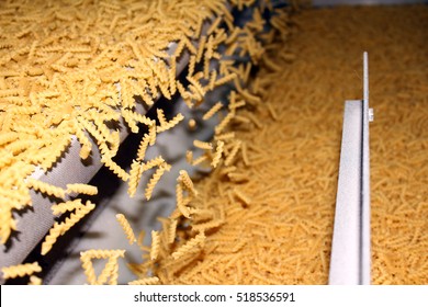 Automated Food Factory Make Pasta