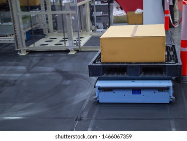 Automated Guided Vehicle AGV Carry Carton In Modern Warehouse