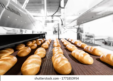 Automated production line bakery Fresh hot baked breads. - Shutterstock ID 1771853954