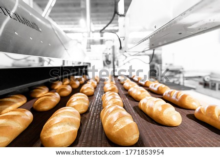 Automated production line bakery Fresh hot baked breads.