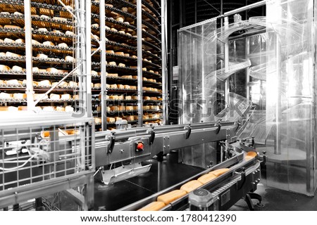 Automated production line bakery Fresh hot baked breads.