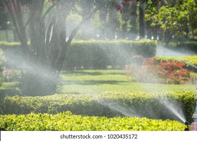 Automated watering system in the Park. Watering grass, trees and shrubs