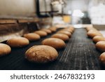 Automatic bakery production line with sweet cookies on conveyor belt equipment machinery in confectionary factory workshop, industrial food production