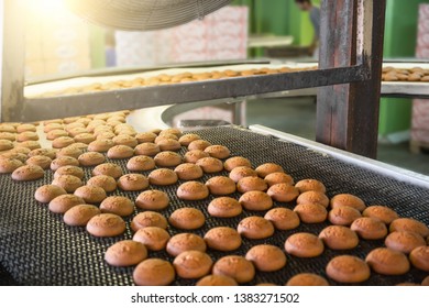 Automatic Bakery Production Line With Sweet Cookies On Conveyor Belt Equipment Machinery In Confectionary Factory Workshop, Industrial Food Production