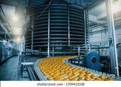 Automatic Conveyor Belt With Cakes, Baking Process In Confectionery Factory. Food Industry, Toned
