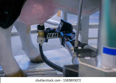 Automatic cow milking robot arm machine demonstrates functionality at cattle dairy farm, exhibition, trade show. Farming, automated technology equipment, agriculture industry, animal husbandry concept - Shutterstock ID 1583893072