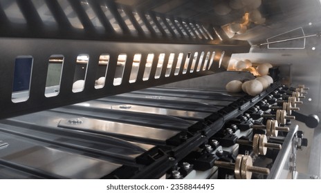 Automatic eggs sorting machine on operation. - Shutterstock ID 2358844495