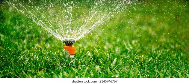 Automatic Garden Lawn Sprinkler. Watering Grass In Yard. Banner With Copy Space