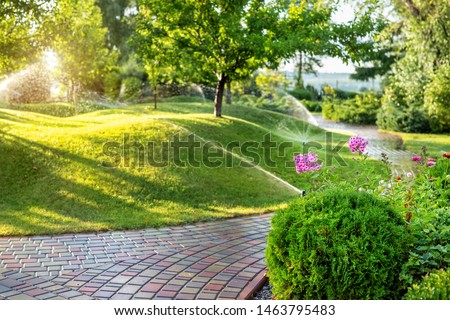 Automatic garden watering system with different sprinklers installed under turf. Landscape design with lawn hills and fruit garden irrigated with smart autonomous sprayers at sunset evening time