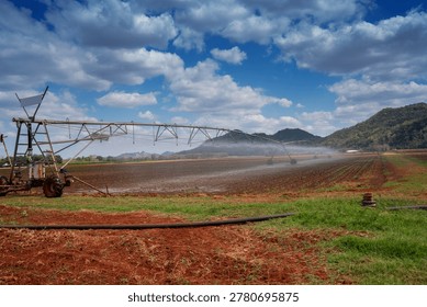 Automatic irrigation system spraying water on an agricultural field with mountain background and blue sky. Concept of smart farming technology and water management in modern agriculture.