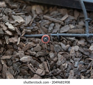 Automatic Irrigation System. Top Closeup View Of The Small Plastic Hose Connected To The Pot Soil For Drip Irrigation And Garden Care.  