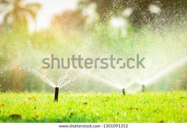 Automatic lawn sprinkler watering green grass.\
Sprinkler with automatic system. Garden irrigation system watering\
lawn. Sprinkler system maintenance service. Home service irrigation\
sprinkler.