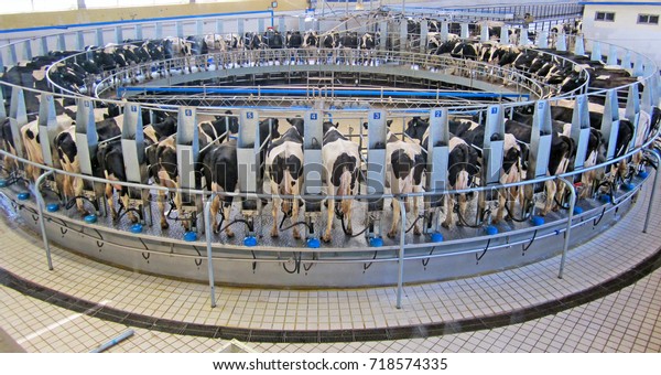 Automatic Milking System Robotic Milking System Stock Photo (Edit Now ...