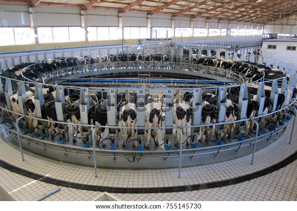 Automatic Milking System Robotic Milking Rotary Stock Photo (Edit Now ...