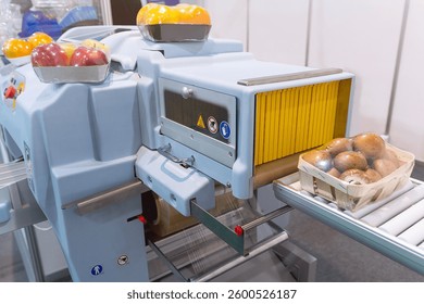 Automatic package of vegetable and fruit flow pillow packing machine. Food industry
