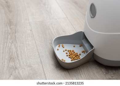 automatic pet food dispenser on floor at home. smart pet feeder controlled remotely via an app on phone. Pet care