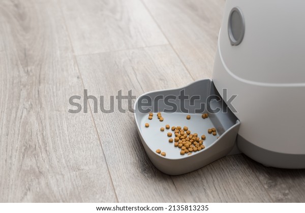 automatic pet food\
dispenser on floor at home. smart pet feeder controlled remotely\
via an app on phone. Pet\
care