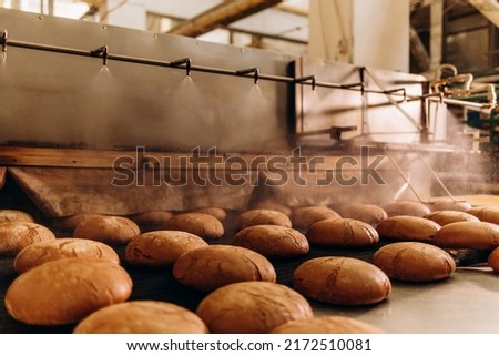 Automatic production line bakery Baked breads from hot oven.