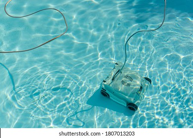 Automatic Robotic Pool Vacuum Cleaner Under Water Cleaning The Floor.