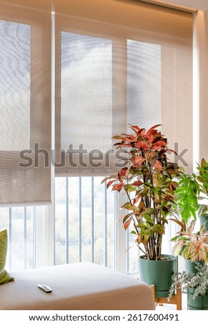 Automatic roller blinds installed in a ceiling recess filter daylight through large windows, creating bright interior. Control panel for sunscreen shades lies on a sofa. Indoor plants in cozy room.