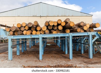 Automatic sorting logs diameter at the sawmill