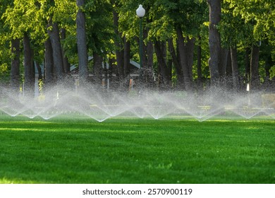 Automatic splinker irrigation system with water sprayer for the lawn. Watering a green lawn in a park or city garden