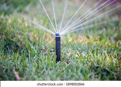 Automatic sprinkler in green yard