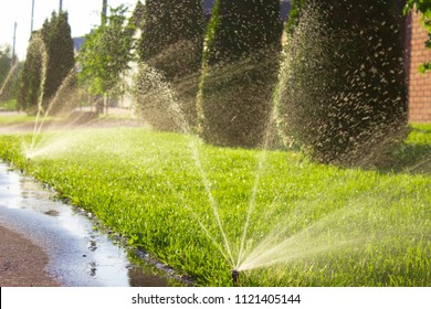 Automatic Sprinkler Lawn At Dawn