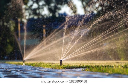 Automatic Sprinkler System Watering The Lawn. Lawn Irrigation In Public Park.