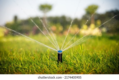 Automatic sprinkler system watering the lawn at sunset.