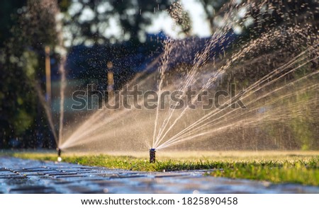 Automatic sprinkler system watering the lawn. Lawn irrigation in public park.