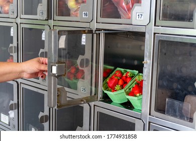 Automatic vending machine fot sale of fresh fruits and berries, strawberry