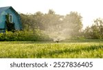 Automatic watering of the lawn at the dacha or garden plot