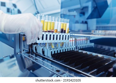 Automation In Clinical Laboratory. Scientist Working With Auto Robotical Machine For Testing Blood, Modern Medical Equipment.