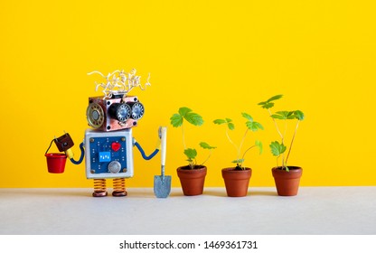 5,697 Robot garden Images, Stock Photos & Vectors | Shutterstock