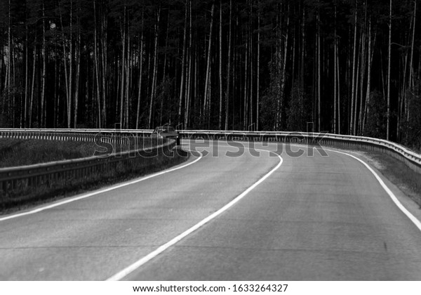 Automobile highway against the\
background of the forest. Black and White Street\
Photography