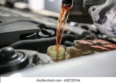 Automobile Maintenance / Engine Oil, Coolant Exchange