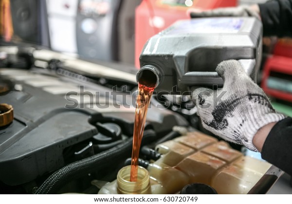 Automobile\
maintenance / engine oil, coolant\
exchange