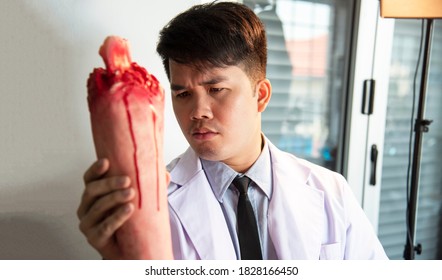 死体解剖hd Stock Images Shutterstock