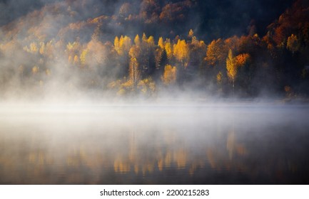 Autum forest lake Coada Lacului - Romania