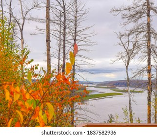 Autum Hue In Fort Mcmurray