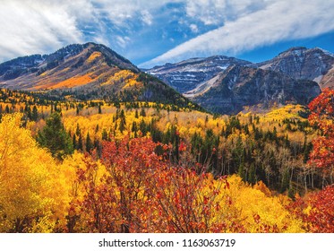 Autum Tree Colors In The Mount Timpanogos Wilderness Along The Wasatch Mountains In American Fork Canyon, Utah County.