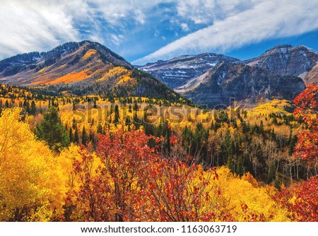 Autum tree colors in the Mount Timpanogos wilderness along the Wasatch Mountains in American Fork Canyon, Utah county.