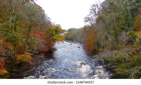           Autum trees on each side of a river bank                      