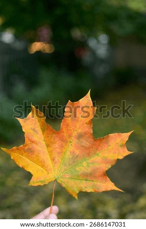 Autumm replacement, winter is comming