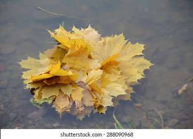 autumn
,