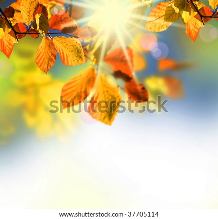 Similar – Image, Stock Photo Golden Autumn Environment