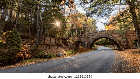 Autumn In Acadia National Park